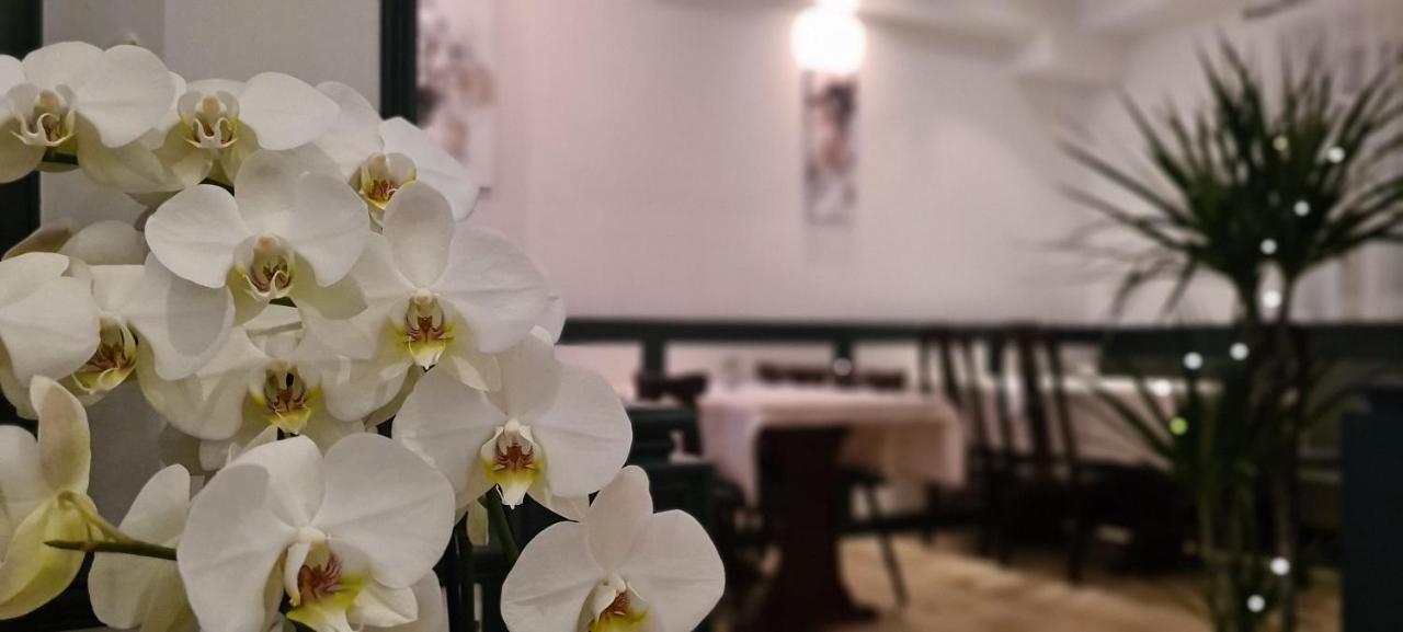Hotel Lamm Stuttgart Luaran gambar